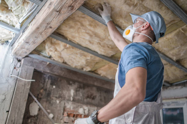Best Insulation Repair Services  in Cherokee, NC